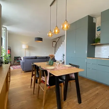 Bright Duplex On The Floor! Apartment Villeurbanne